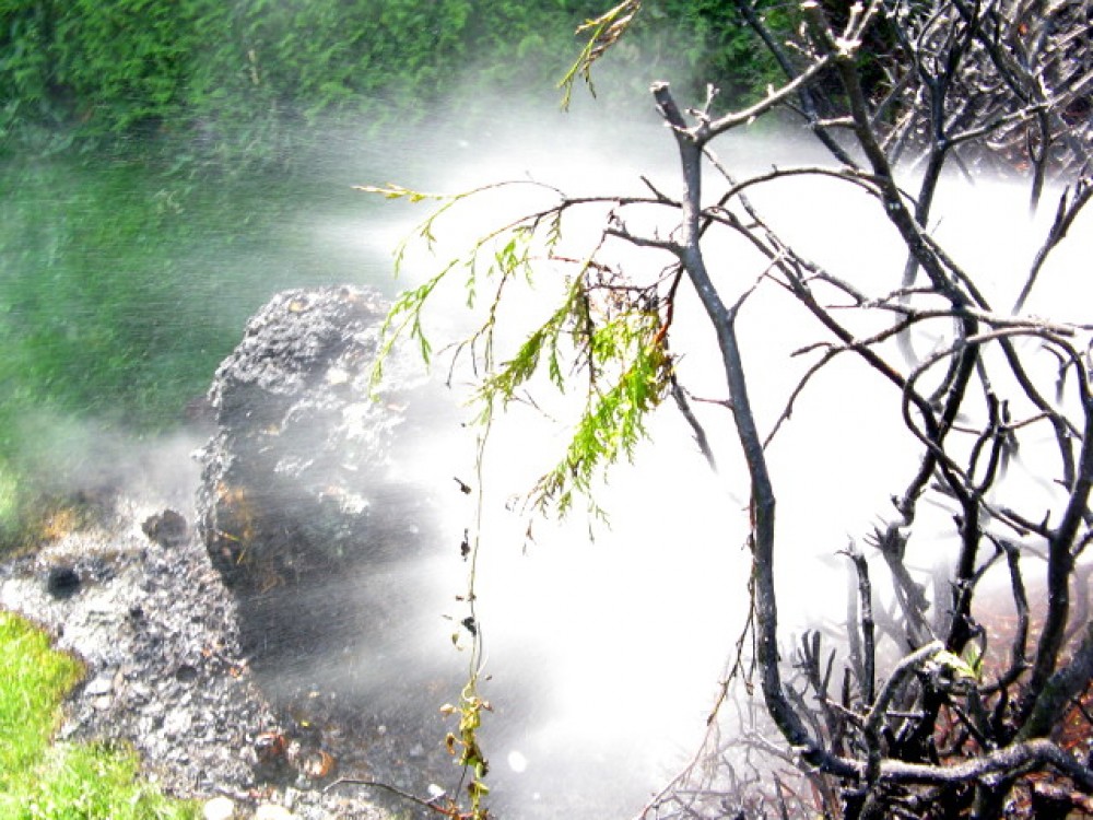 Flurbrand in Schörfling