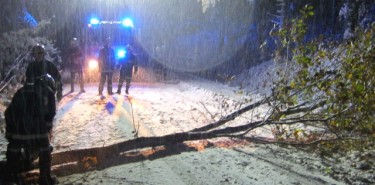 Baum wegen Schneedruck umgestürzt