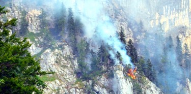 Waldbrand in Steinbach am Attersee
