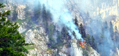 Waldbrand in Steinbach am Attersee