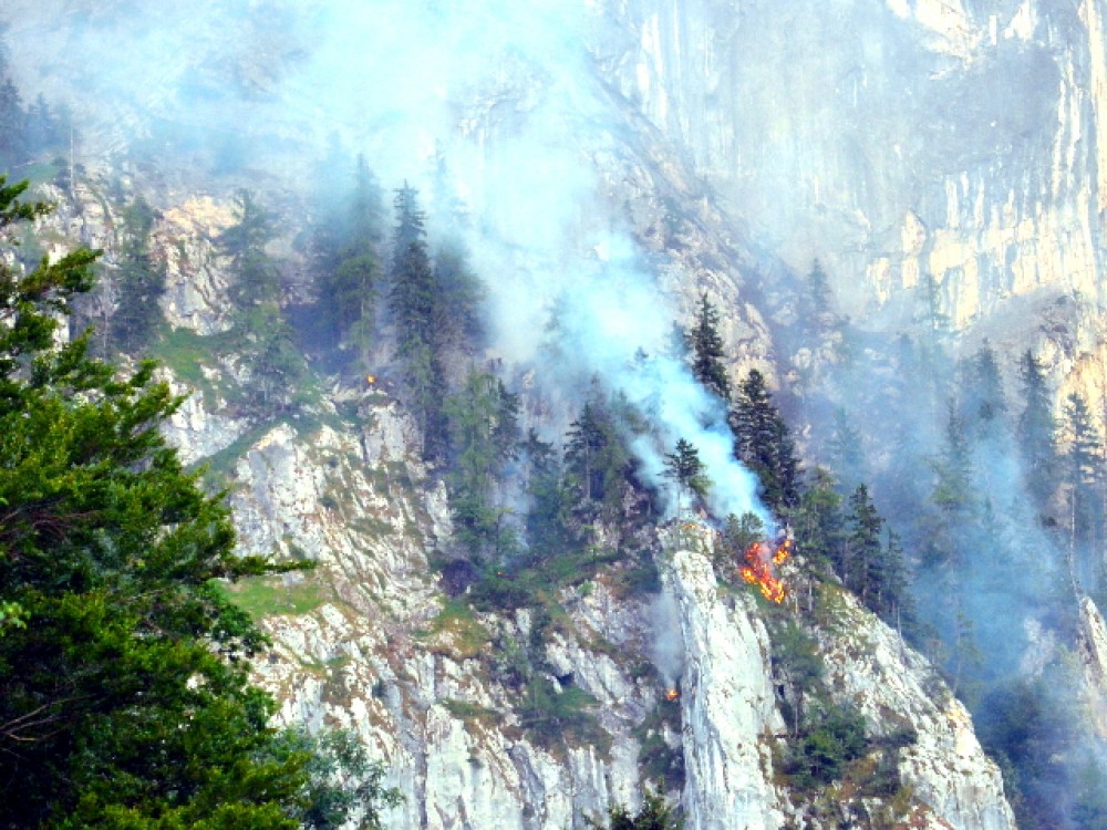 Waldbrand in Steinbach am Attersee