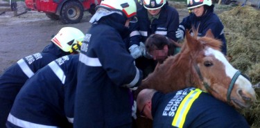 Tierrettung im Reitstall