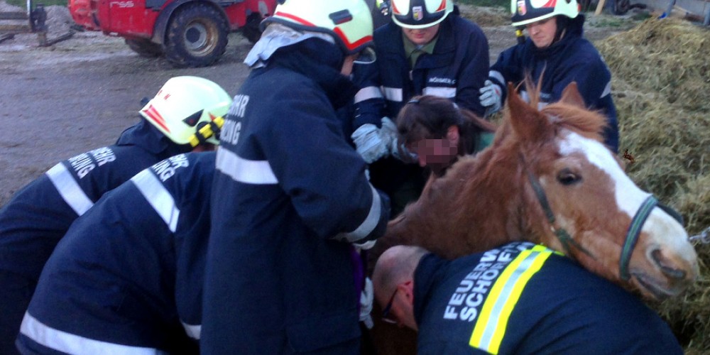 Tierrettung im Reitstall