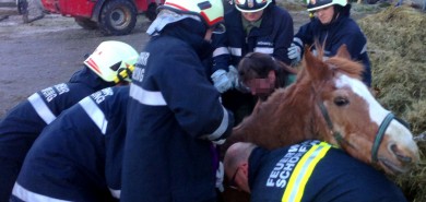 Tierrettung im Reitstall