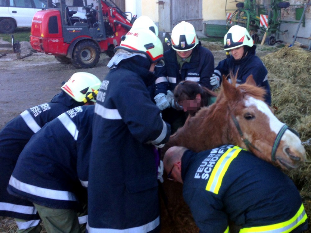 Tierrettung im Reitstall