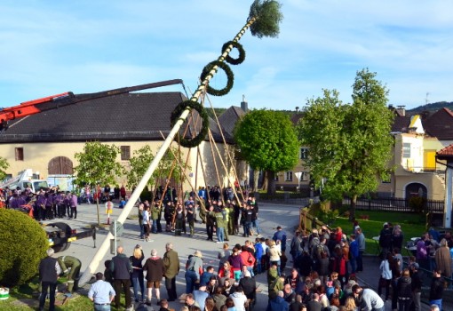 Maibaum aufstellen & Dämmerschoppen