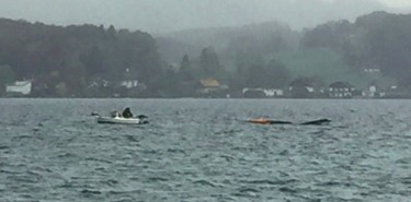 Personenrettung im Attersee