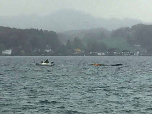 Personenrettung im Attersee