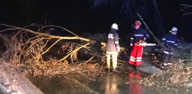 Bäume gaben Eislasten nach