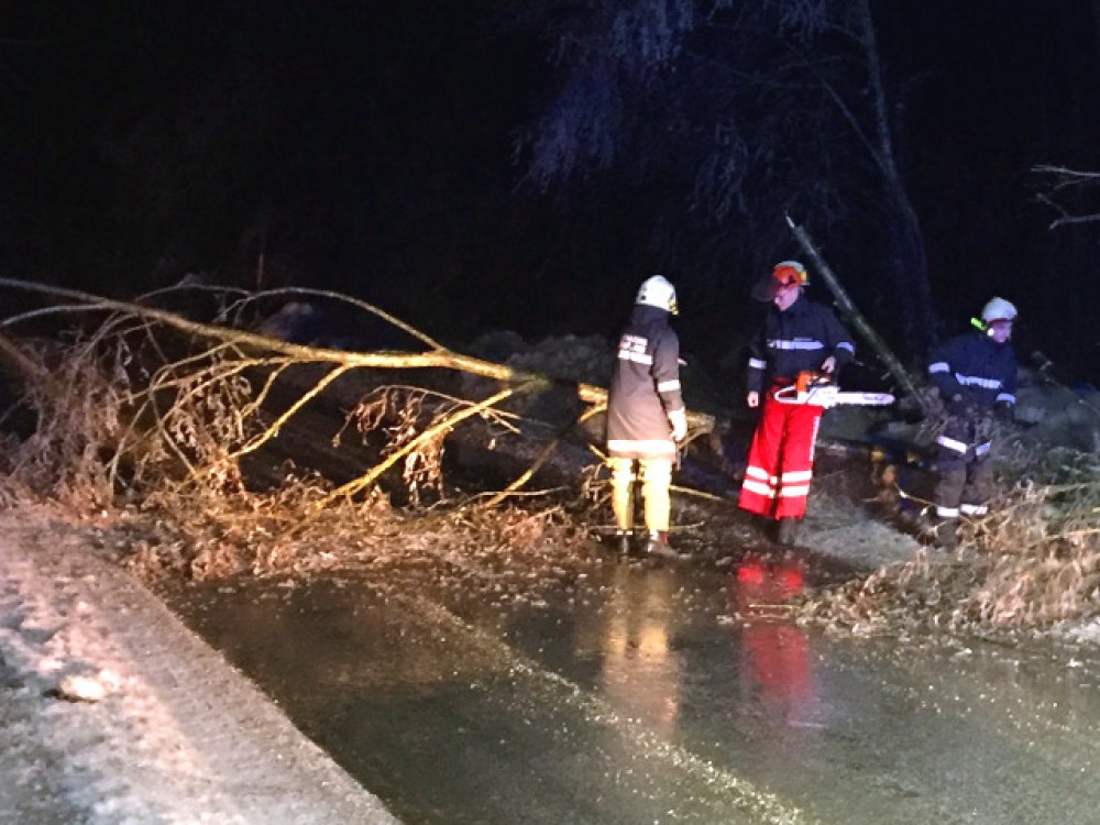 Bäume gaben Eislasten nach