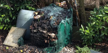 Brand eines Komposthaufens