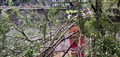 Aufräumarbeiten nach Sturm