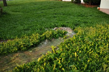 Wasserschaden in der Sickingerstraße