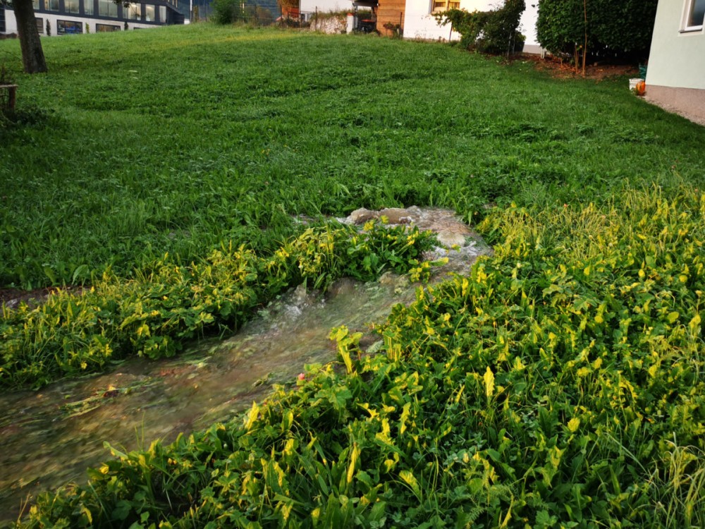 Wasserschaden in der Sickingerstraße