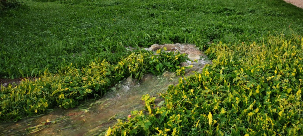 Wasserschaden in der Sickingerstraße