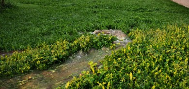 Wasserschaden in der Sickingerstraße