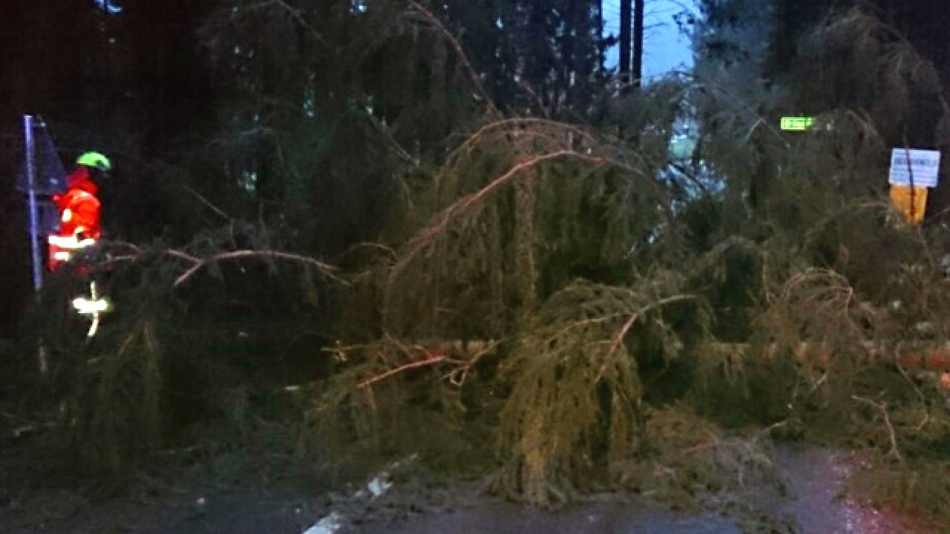 Sturmschaden Marktwald