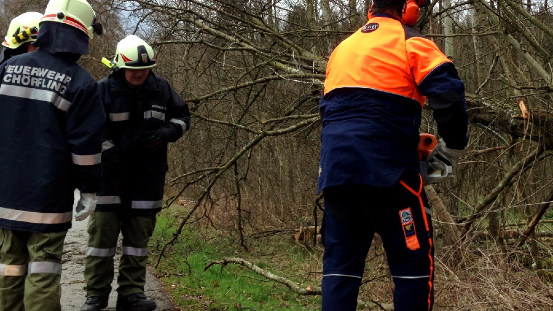 Sturmschaden Marktwald