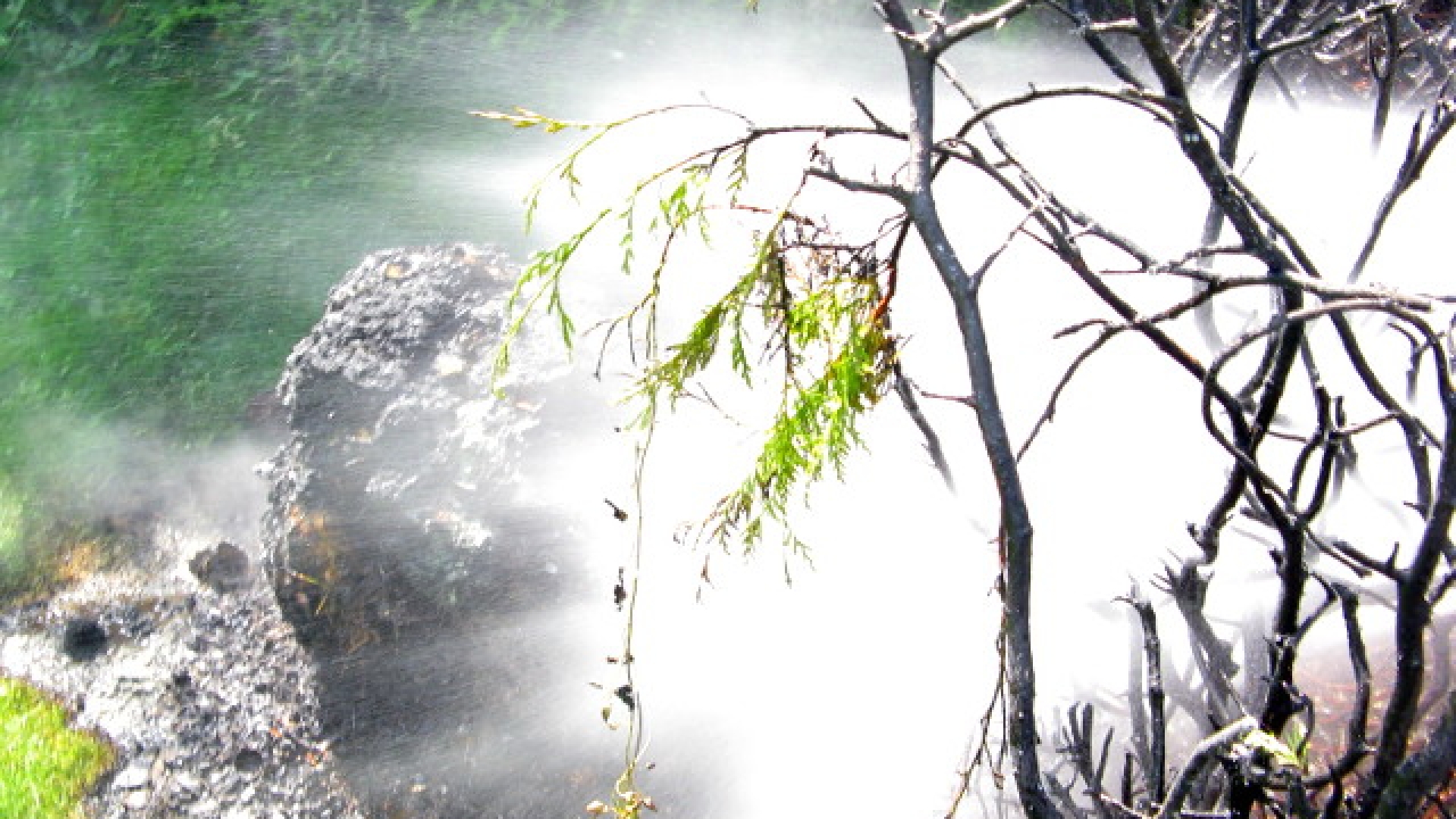 Flurbrand in Schörfling