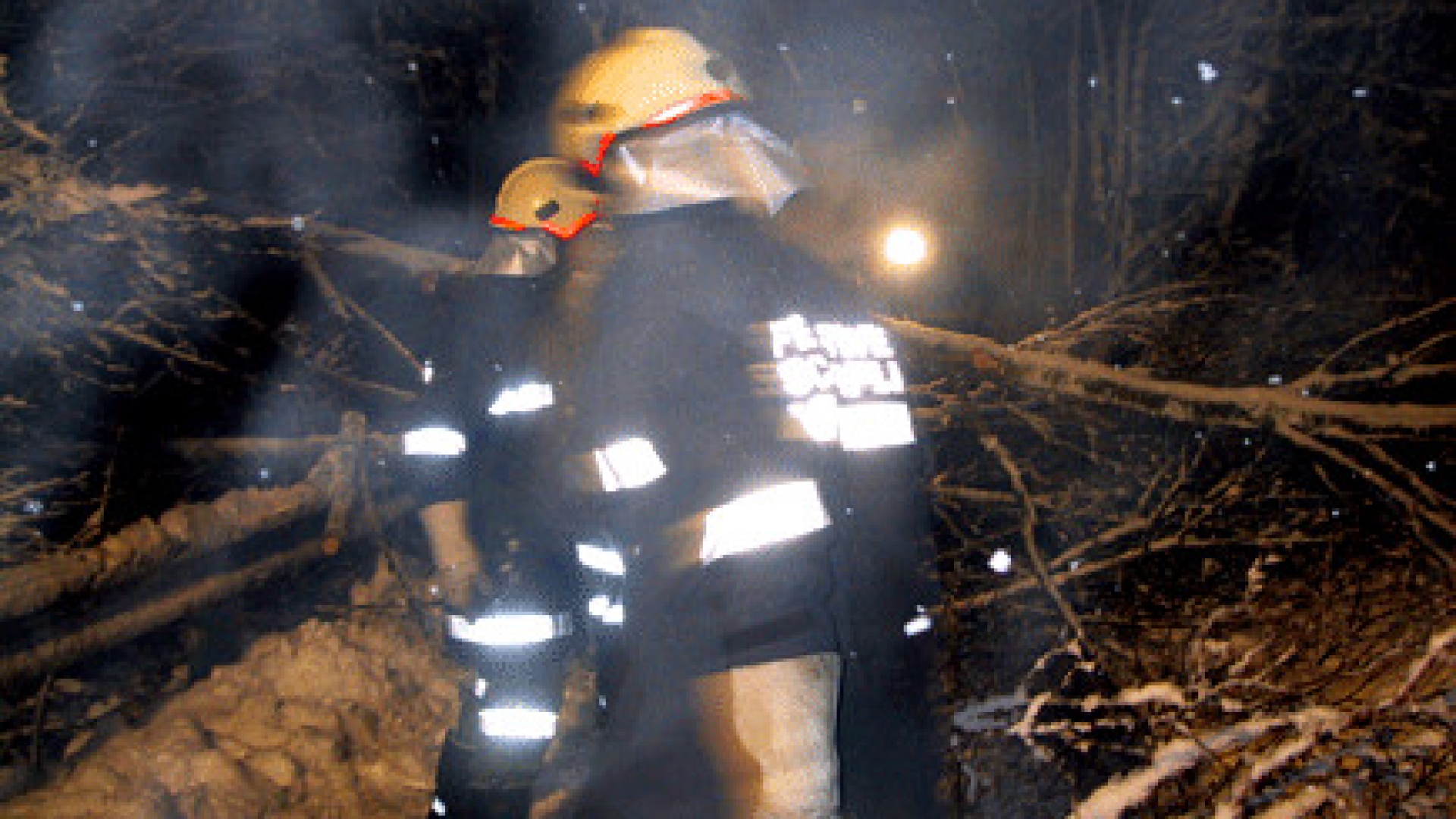 Baum wegen Schneedruck umgestürzt