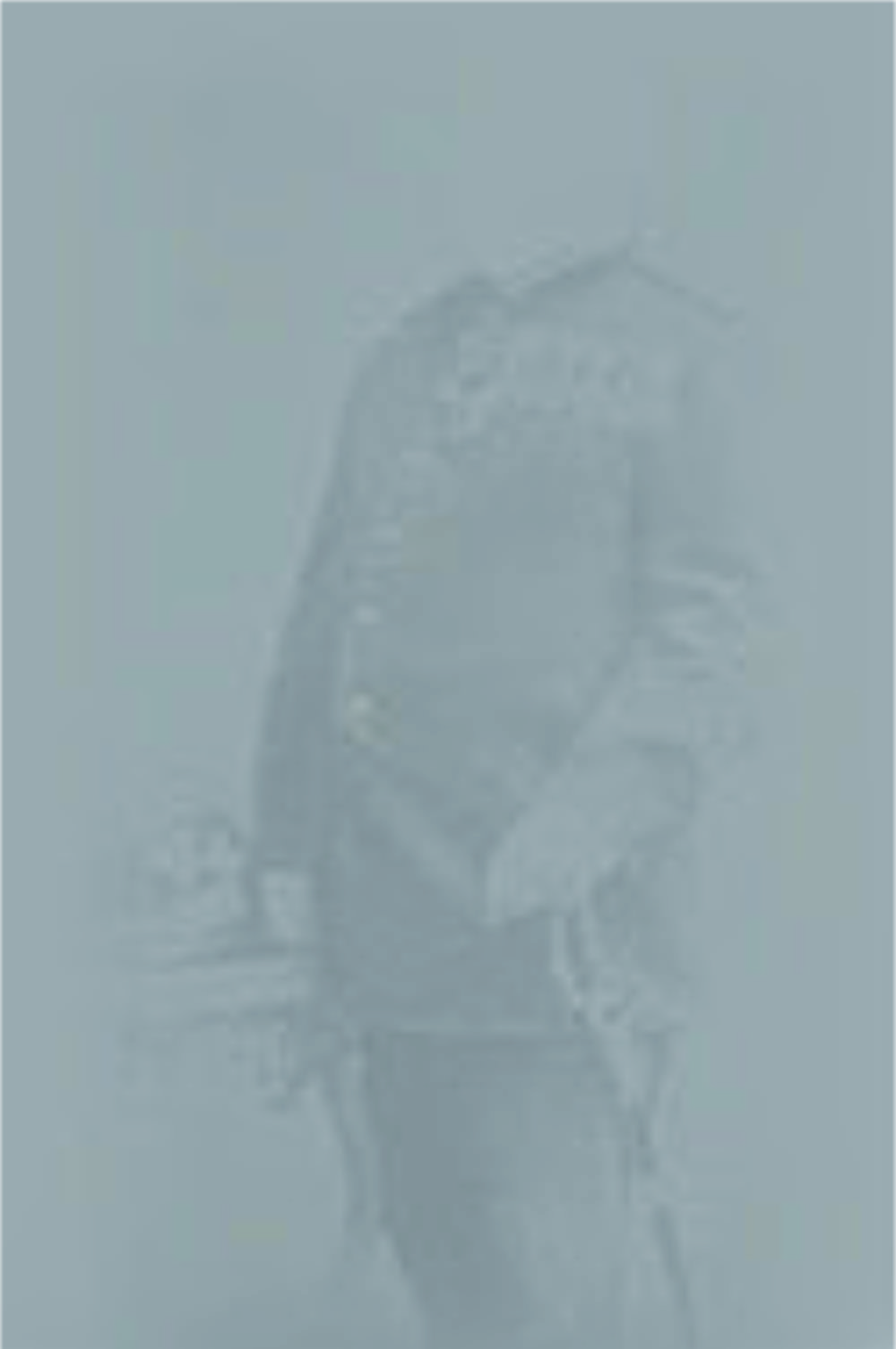 August Horvath von St. György Symbolbild